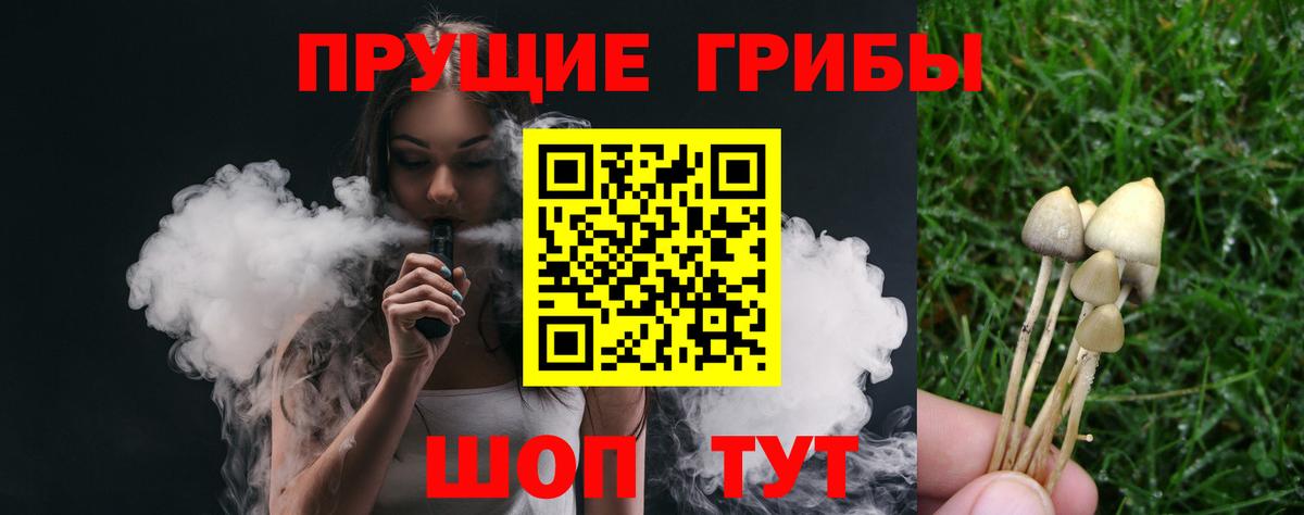 Галлюциногенные грибы GOLDEN TEACHER Мурино