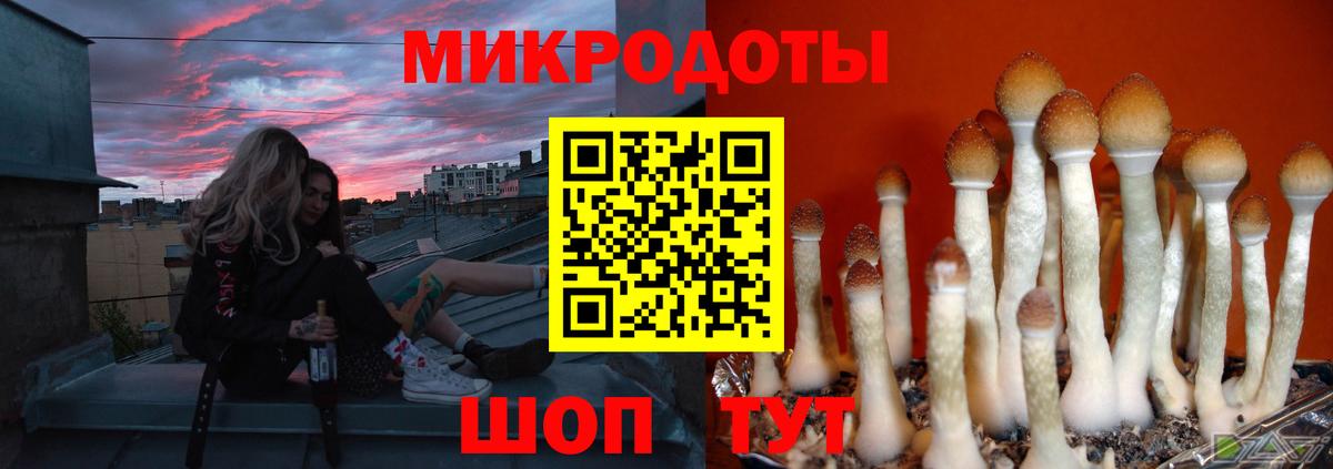 Псилоцибиновые грибы прущие грибы  Галлюциногенные грибы MAGIC MUSHROOMS  Мурино  Вход с VPN 